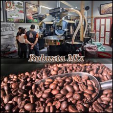 Cà phê hạt Robusta - Mix