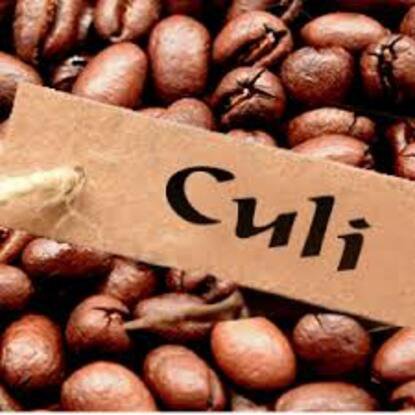 Hạt cà phê Culi - Giới thiệu, loại nổi tiếng, quy trình sản xuất và cách chọn mua